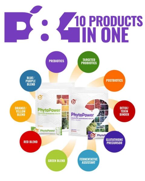 P84 10 Products in One