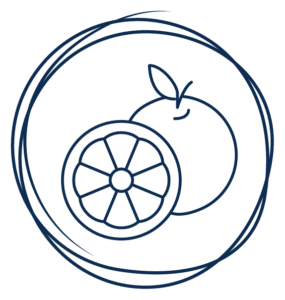 icon_Young-Ponkan-Fruit