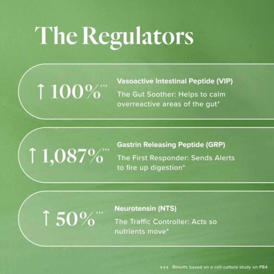Infographic showing three key Regulator peptides activated by P84 — VIP increases 100% to calm the gut, GRP increases 1,087% to support digestion, and NTS increases 50% to enhance nutrient movement.