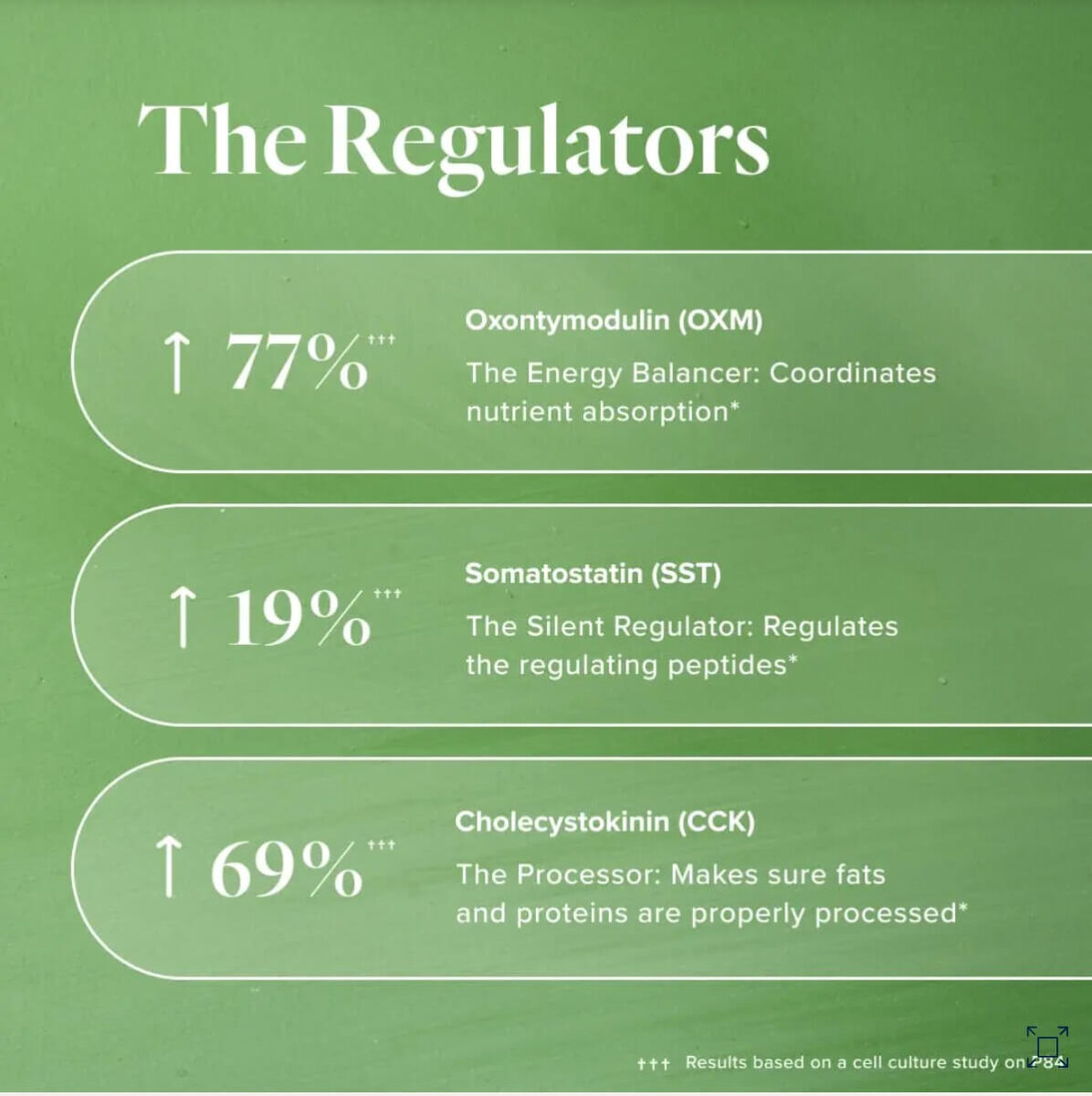 Infographic titled ‘The Regulators’ showing three gut peptides activated by P84: Oxontymodulin (OXM) increased 77% as the Energy Balancer that coordinates nutrient absorption; Somatostatin (SST) increased 19% as the Silent Regulator that supports peptide balance; and Cholecystokinin (CCK) increased 69% as the Processor aiding fat and protein digestion. Based on cell culture study results.