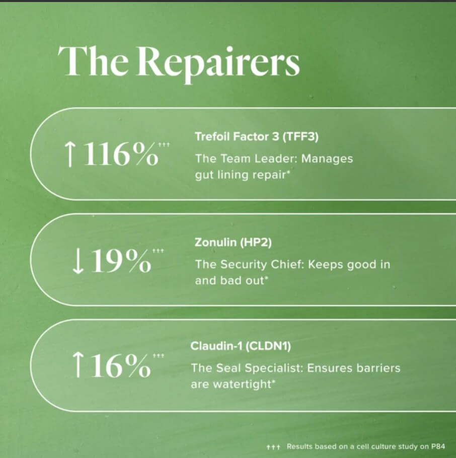 Infographic highlighting three Repairer peptides activated by P84 — TFF3 increases 116% to manage gut lining repair, Zonulin decreases 19% to improve barrier integrity, and Claudin-1 increases 16% to maintain watertight seals.